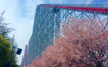 Steel Dragon, Nagashima Spa Land, roller coaster, Mie, Ise, Kuwana