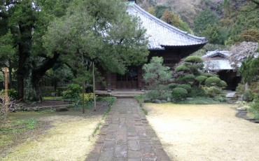 temple,shrine,history,historical,kamakura,culture,tokyo,kanagawa,japan