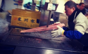 Tuna auction at Tsukiji fish market