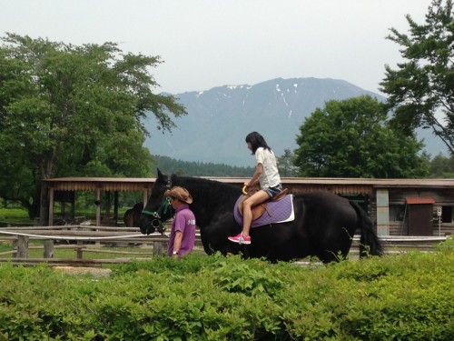 Koiwai Horseback Riding