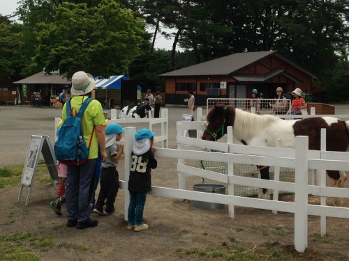 Koiwai Petting Farm