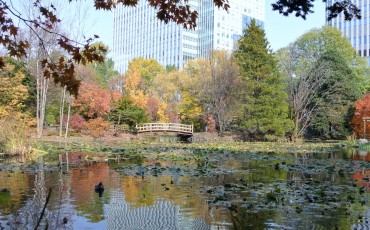 Sapporo Hokkaido Travel Guide Attractions Ramen Traditional Shrine Greenery Zoo Beer Museum