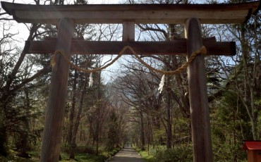 Togakushi torii