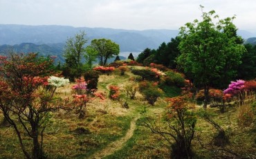 Mt. Hiei Hiking Trail Kyoto Prefecture Shiga Nature Lake Biwa View Enryaku-ji Temple