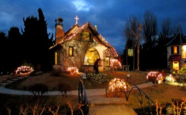 kawaguchiko music forest winter illumination