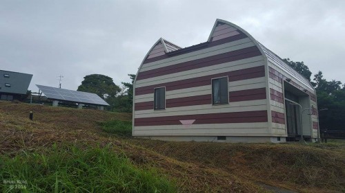  numerous cottages shaped like cats in Tashirojima Japan