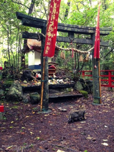 a small shrine dedicated to cats and Nekokamisama in Tashirojima Japan