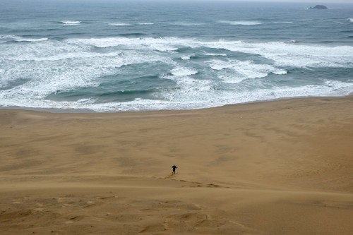 How can we enjoy at Tottori sand dunes? Running down the dunes!