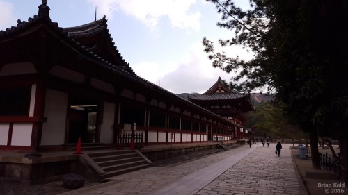 Todaiji Temple in Nara is the physical embodiment of Japanese Buddhism history