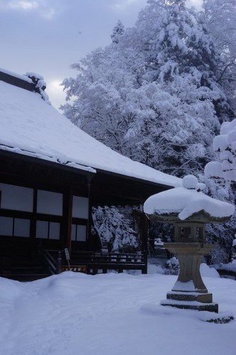 Surrounding trees and grounds of a temple in Takayama is heavily caked in snow. This makes walking quite difficult.