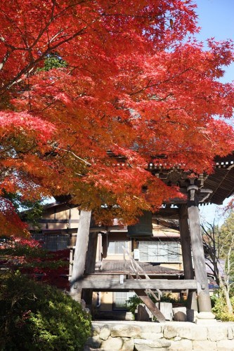 Belfy at Daioji temple, accompanied by autumn colors along a walking course in Takayama