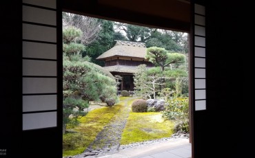 temple,tea,nara,ceremony,matcha,zen,buddhism