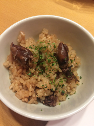 hotaruika rice