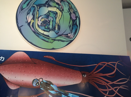 giant squid