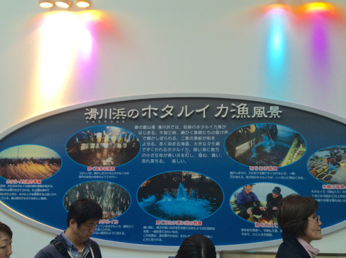 hotaruika theater