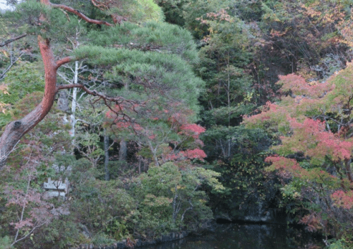 Oya-ji temple in autumn leaves (momiji)