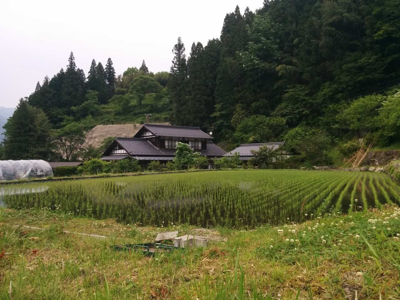 Soba is the local specialities of Nagano prefecture.