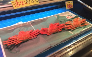 sakana machi crab, tsuruga city, Fukui