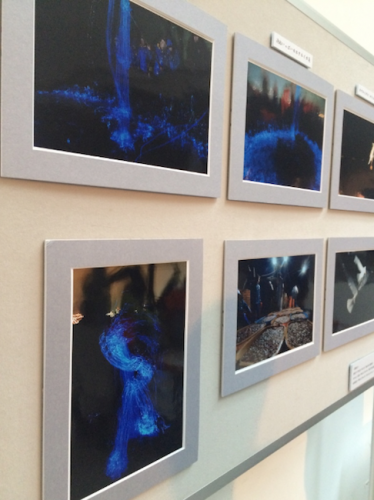 photographs hotaruika