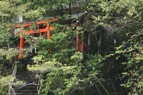 Torii in Waterfall shrine