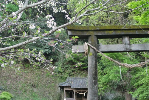 Beautiful in its construction and the use of natural wood stands there firmly bearing only minimal traces of time that has passed.