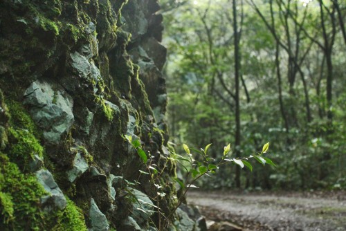 magnificent Waterfall Shrine built in the rocky and sharp landscape