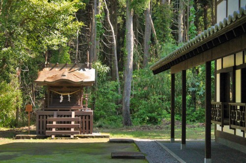 the Chin Yukan kiln is hidden behind a green scenery of trees