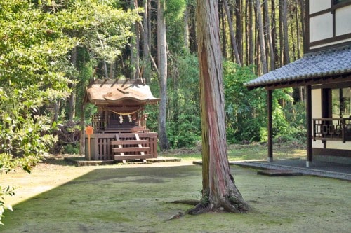 the Chin Yukan kiln is hidden behind a green scenery of trees in Kagoshima.