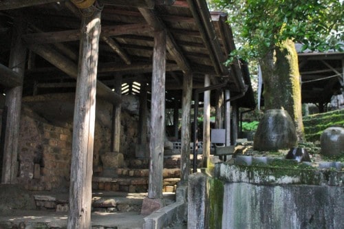 the Chin Yukan kiln is hidden behind a green scenery of trees in Kagoshima.