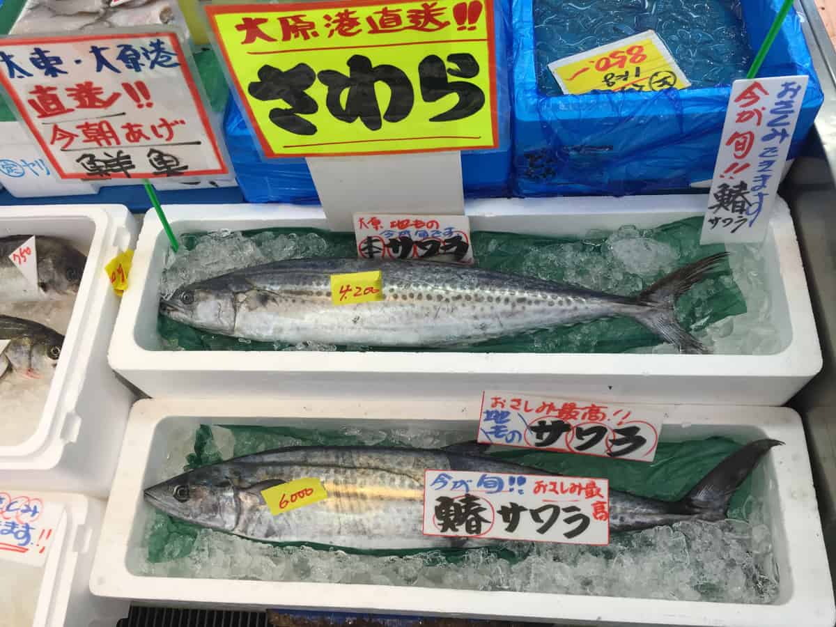 Fish Market Fresh Seafood Uohira Ichinomiya Chiba Coastal Town Seasonal Local