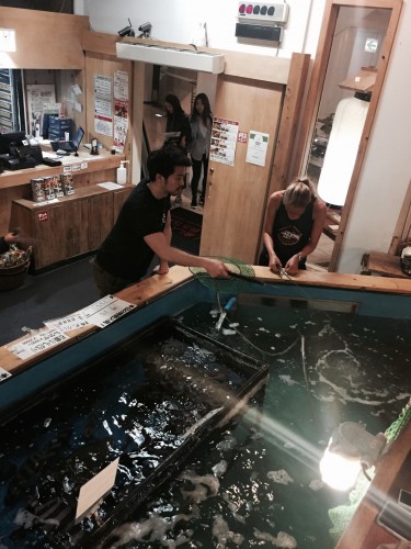 You can catch your fish which you're going to eat