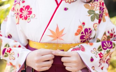 kimono pattern wagara