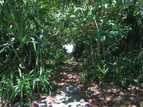 Iriomote Island hidden beach