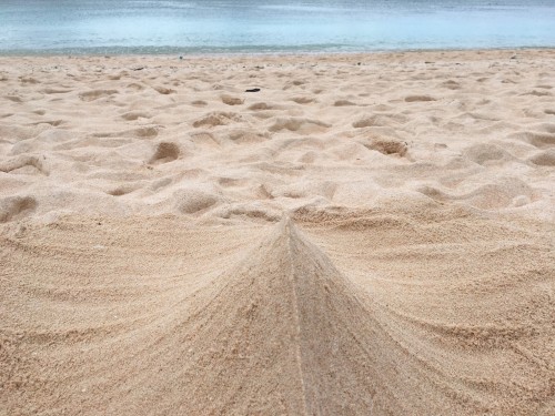 Hateruma Island,Nishihara beach is famous for its sand, which is soft and nice to walk and relax on. 