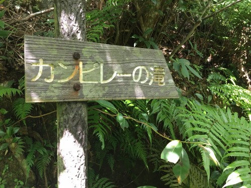 Iriomote Island signs in the jungle