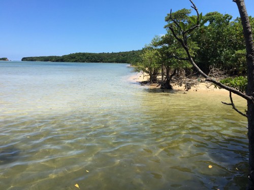 Beach and water on Iriomote Island