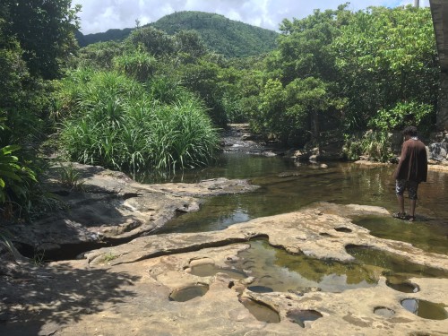 Omisha road park on Iriomote island