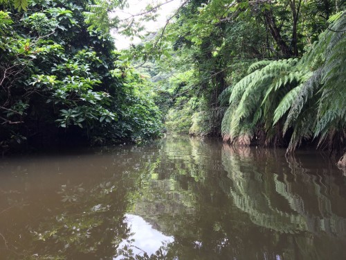 Iriomote Island kayak excursion