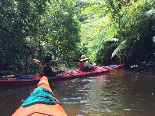 Fun kayak excursion on Iriomote Island