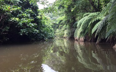 Iriomote Island kayak