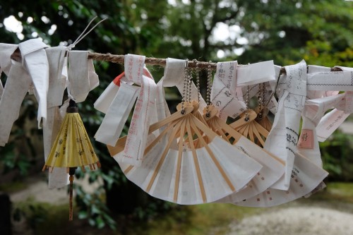At Motoise Kono Shrine.