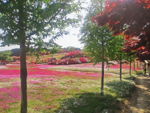The Matsumoto Azaleas Park in Nagasaki, Kyushu, Japan