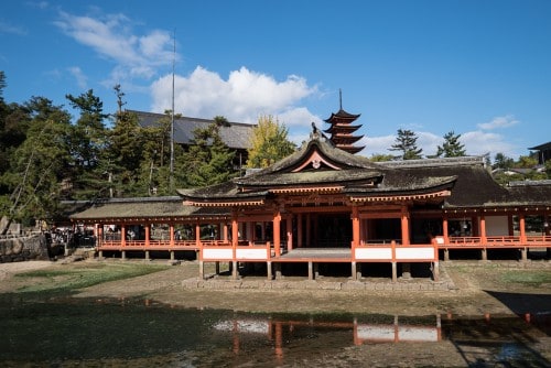 Itsukushima-Miyajima-Review-06681