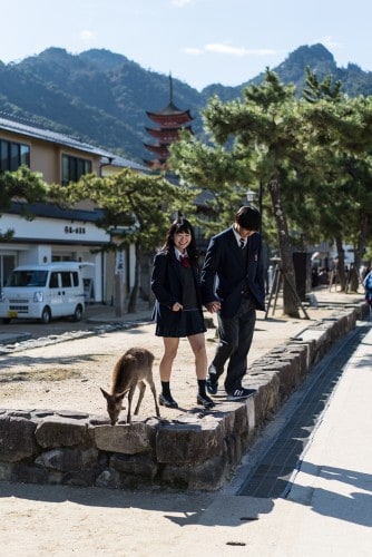 Miyajima-Budget-06505