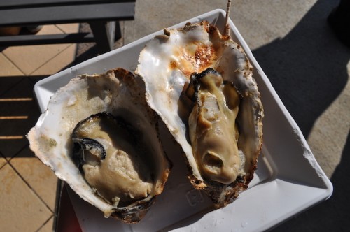 Hiroshima Miyajima oysters