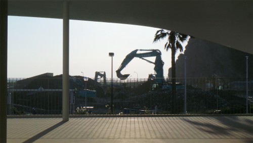 I saw a crane!