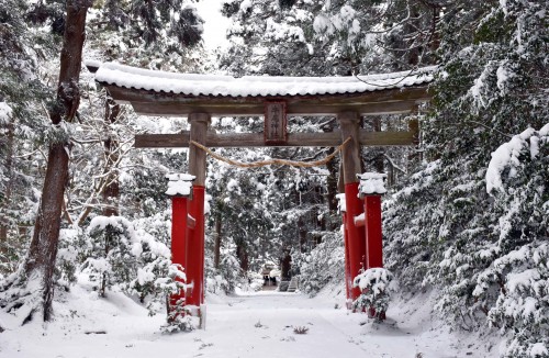 the torii gate of usher shrine in Sado island