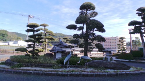 In front of Izumi station