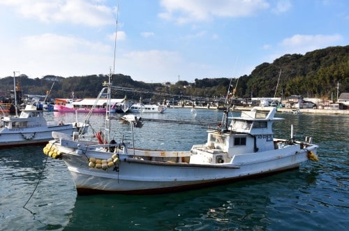 yobuko fishing port 2