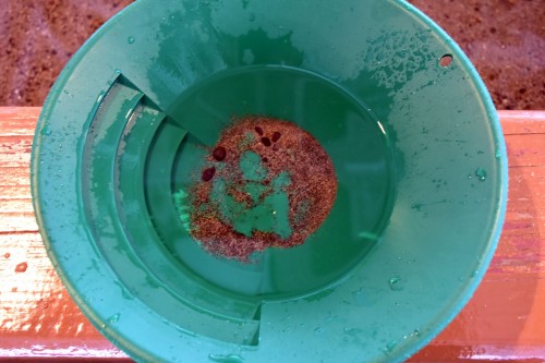 panning gold